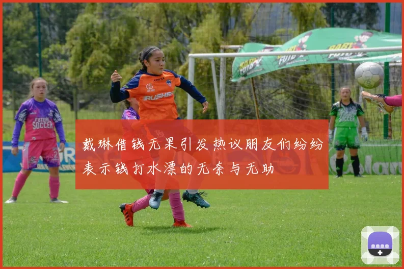 戴琳借钱无果引发热议朋友们纷纷表示钱打水漂的无奈与无助