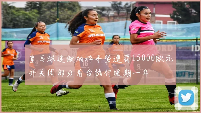 皇马球迷做纳粹手势遭罚15000欧元并关闭部分看台执行缓期一年