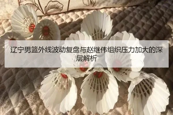 辽宁男篮外线波动复盘与赵继伟组织压力加大的深层解析(bogou)
